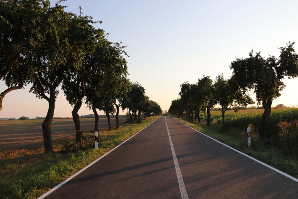 Auf der Straße nach Groß Kiesow