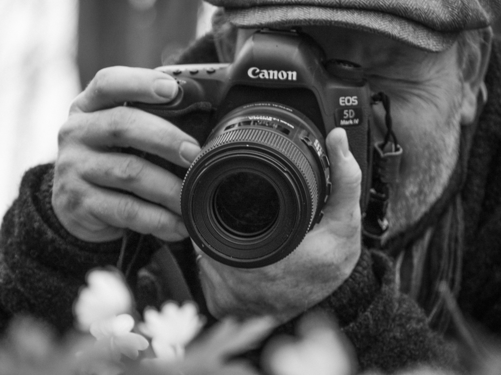 Kulturfelder Groß Kiesow